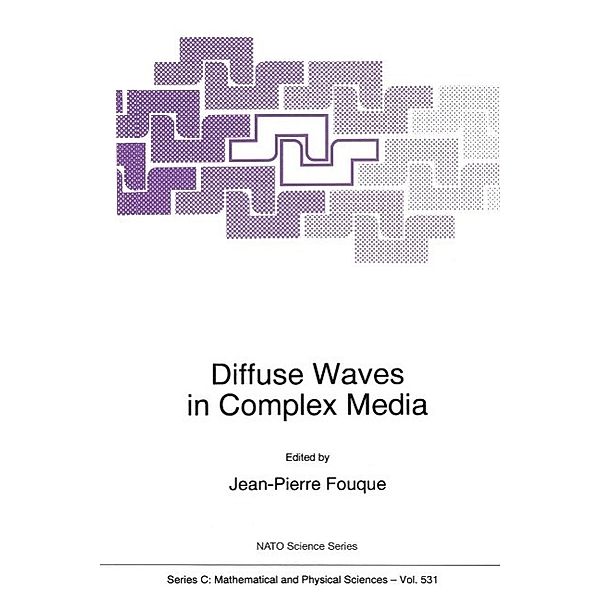 Diffuse Waves in Complex Media / Nato Science Series C: Bd.531