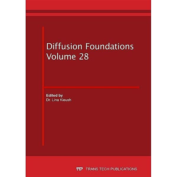 Diffusion Foundations Vol. 28