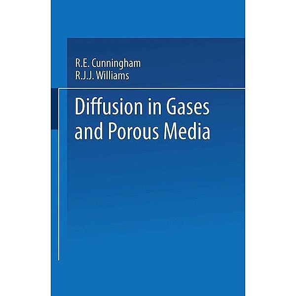 Diffusion in Gases and Porous Media, Roberto Cunningham