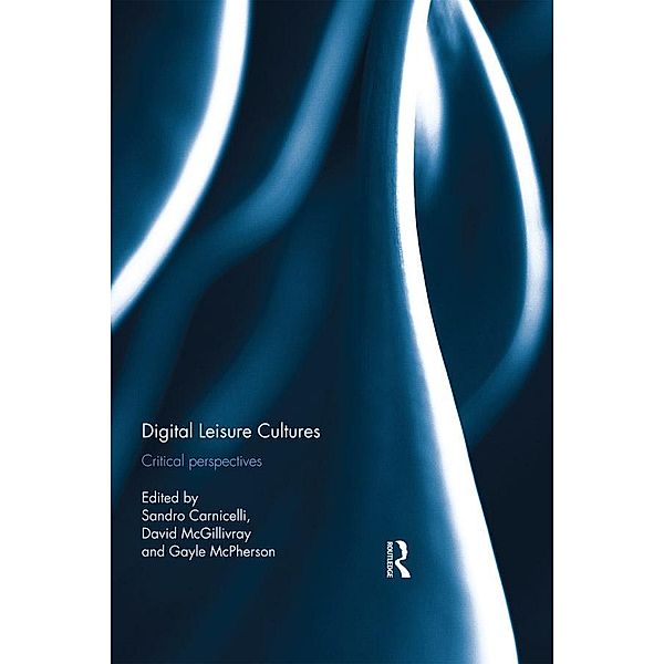 Digital Leisure Cultures