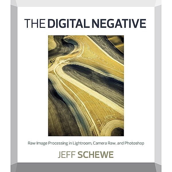 Digital Negative, The, Schewe Jeff