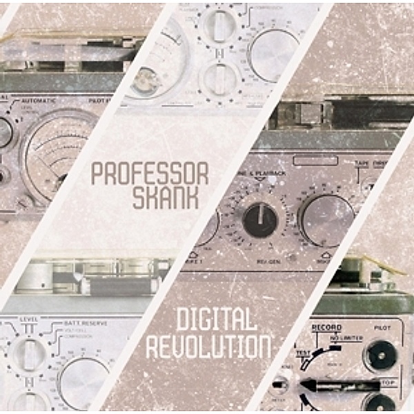 Digital Revolution (Vinyl), Professor Skank