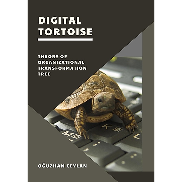 Digital Tortoise, Oguzhan Ceylan