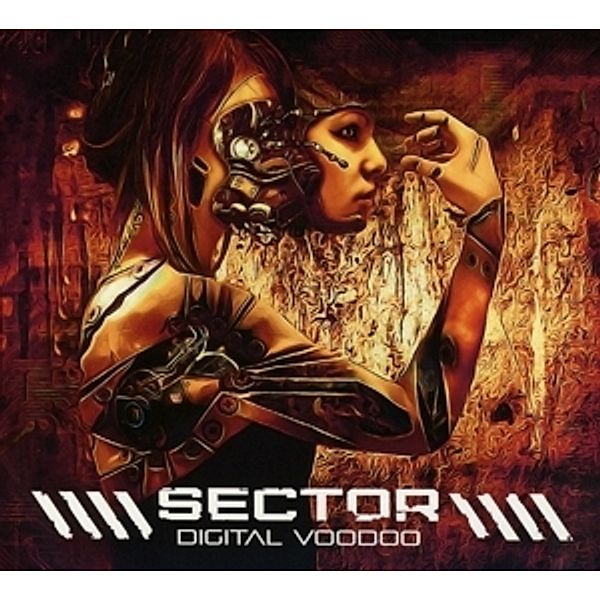 Digital Voodoo, Sector