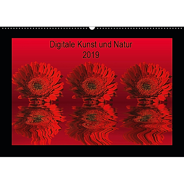 Digitale Kunst und Natur (Wandkalender 2019 DIN A2 quer), Martina Fornal