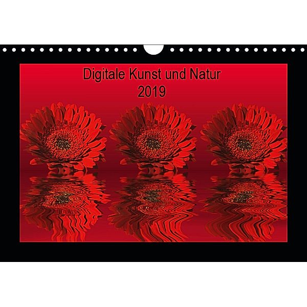 Digitale Kunst und Natur (Wandkalender 2019 DIN A4 quer), Martina Fornal