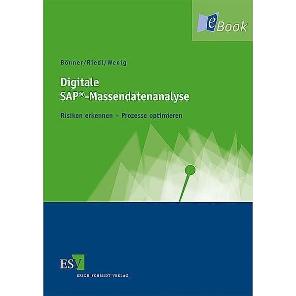 Digitale SAP®-Massendatenanalyse, Arno Bönner, Martin Riedl, Stefan Wenig