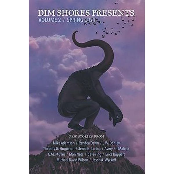 Dim Shores Presents Volume 2 / Dim Shores