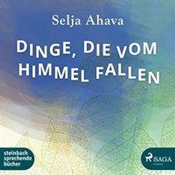 Dinge, die vom Himmel fallen, 1 MP3-CD, Selja Ahava