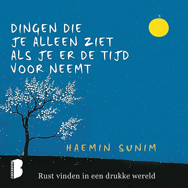 Dingen die je alleen ziet als je er de tijd voor neemt, Haemin Sunim