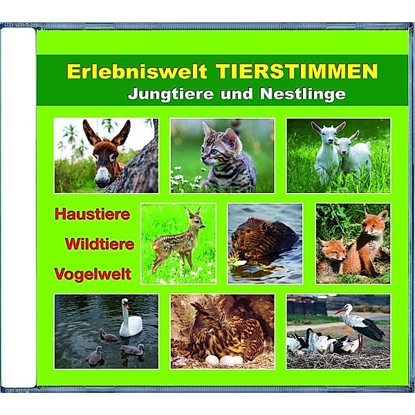 Dingler, K: Erlebniswelt TIERSTIMMEN, Karl H. Dingler