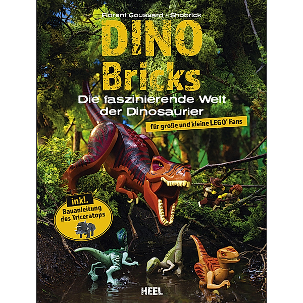 Dino Bricks, Florent Goussard