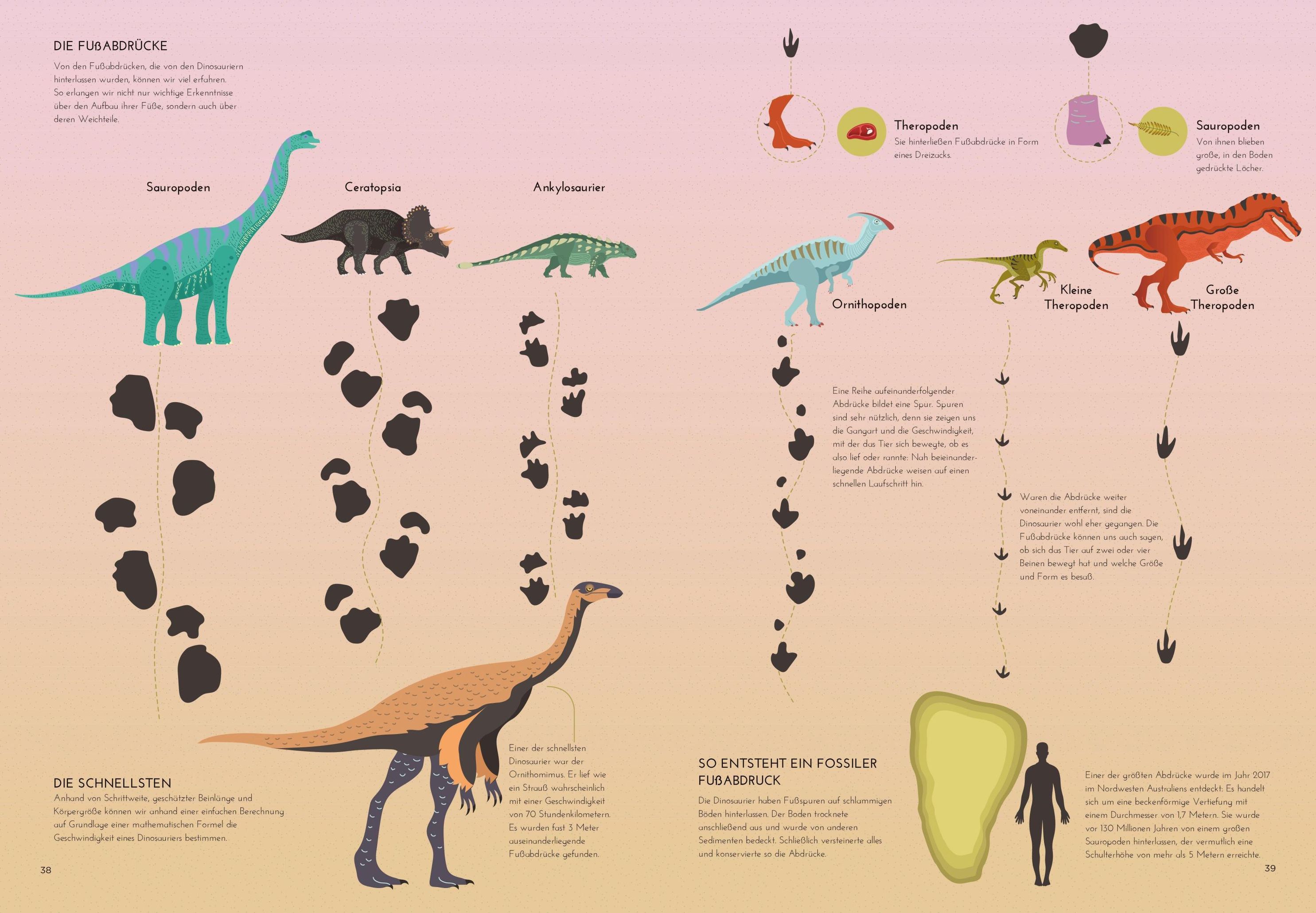 Dinosaurierforscher:Tiere der Urzeit in Infografiken | Weltbild.at