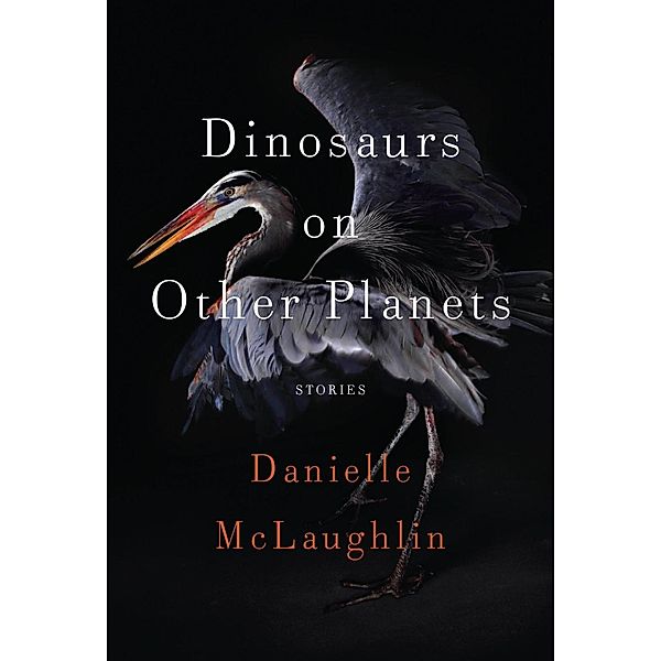 Dinosaurs on Other Planets, Danielle McLaughlin