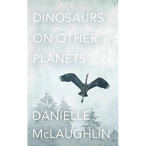 Dinosaurs on Other Planets, Danielle McLaughlin