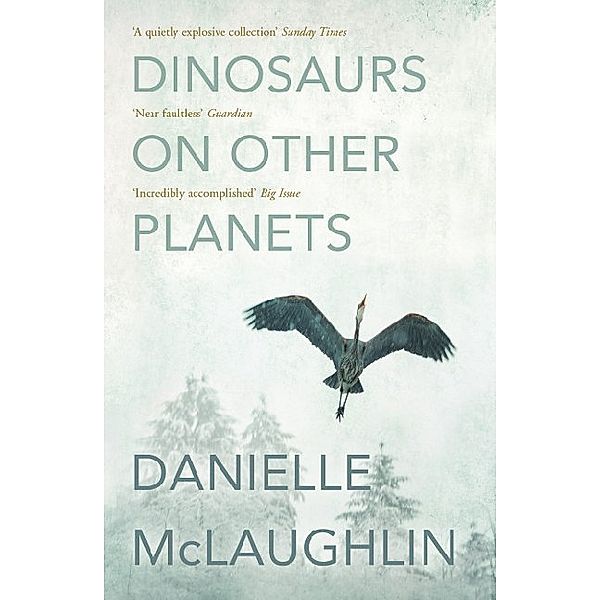 Dinosaurs on Other Planets, Danielle McLaughlin