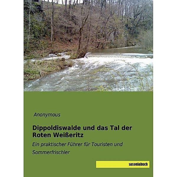 Dippoldiswalde und das Tal der Roten Weißeritz