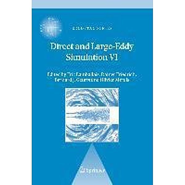 Direct and Large-Eddy Simulation VI / ERCOFTAC Series Bd.10, Rainer Friedrich, Eric Lamballais, Olivier Métais