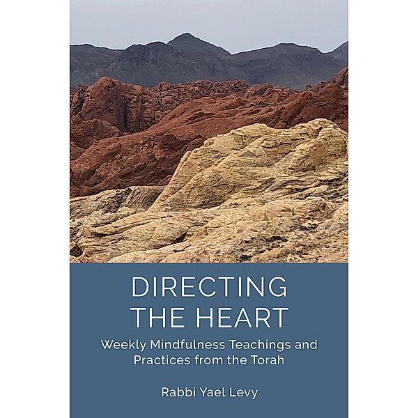 Directing the Heart: Weekly Mindfulness Teachings and Practices from the Torah, Rabbi Yael Levy