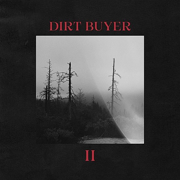 DIRT BUYER II, Dirt Buyer