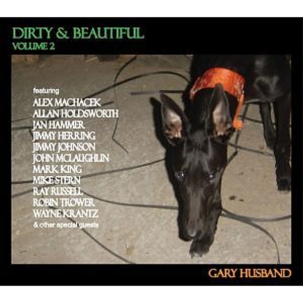 Dirty And Beautiful Vol.2, Gary Husband