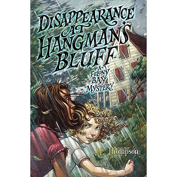 Disappearance at Hangman's Bluff / Felony Bay Mysteries Bd.2, J. E. Thompson