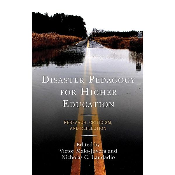 Disaster Pedagogy for Higher Education