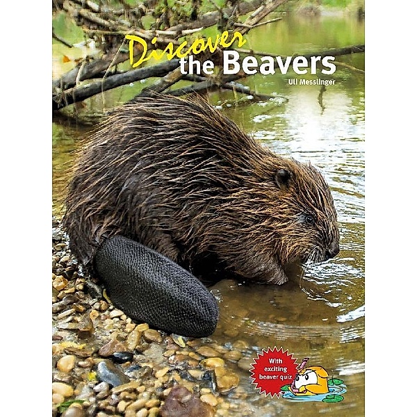 Discover the Beavers, Uli Messlinger
