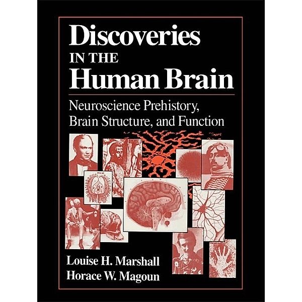 Discoveries in the Human Brain, Louise H. Marshall, Horace W. Magoun