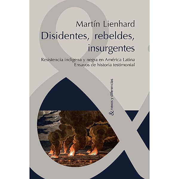 Disidentes, rebeldes, insurgentes / Nexos y Diferencias. Estudios de la Cultura de América Latina Bd.21, Martin Lienhard
