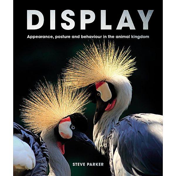 Display, Steve Parker