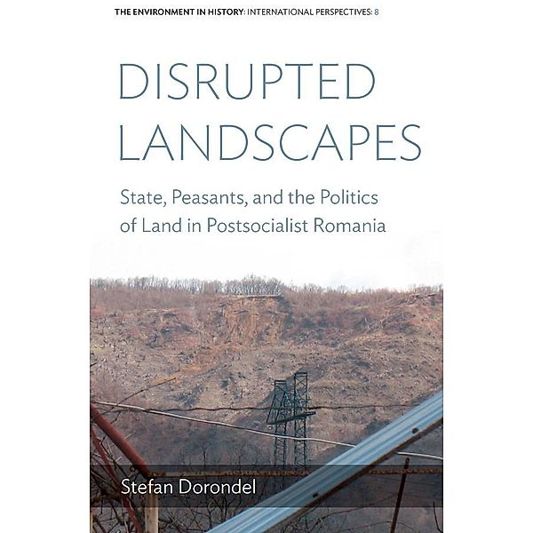 Disrupted Landscapes / Environment in History: International Perspectives Bd.8, Stefan Dorondel