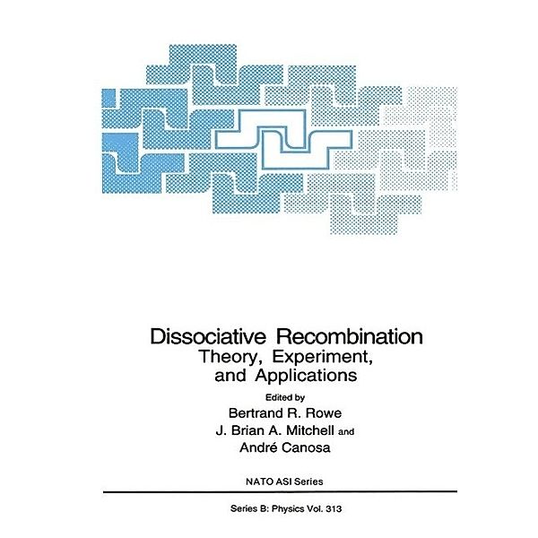 Dissociative Recombination / NATO Science Series B: Bd.313