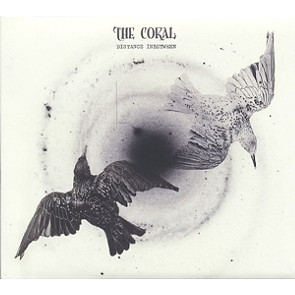 Distance Inbetween (Vinyl), The Coral