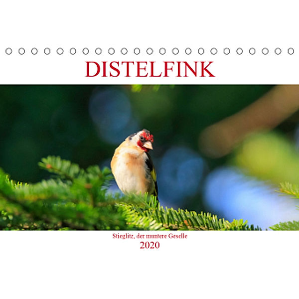 Distelfink (Tischkalender 2020 DIN A5 quer), Anette Jäger