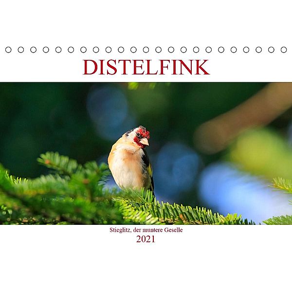 Distelfink (Tischkalender 2021 DIN A5 quer), Anette Jäger