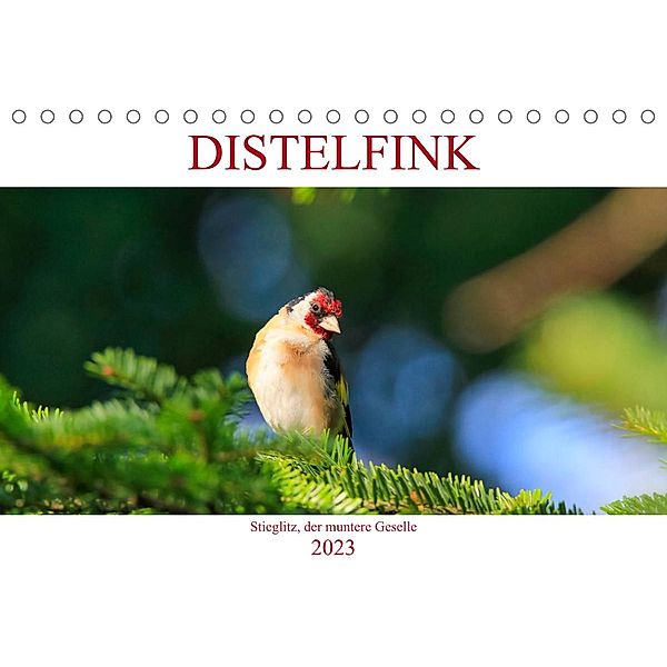 Distelfink (Tischkalender 2023 DIN A5 quer), Anette Jäger