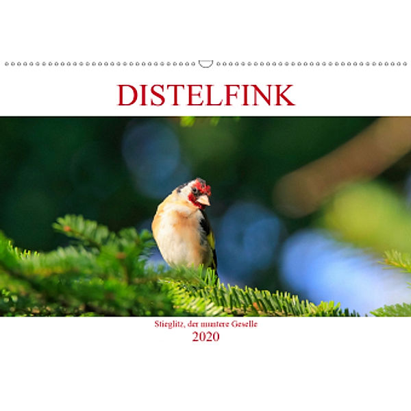 Distelfink (Wandkalender 2020 DIN A2 quer), Anette Jäger