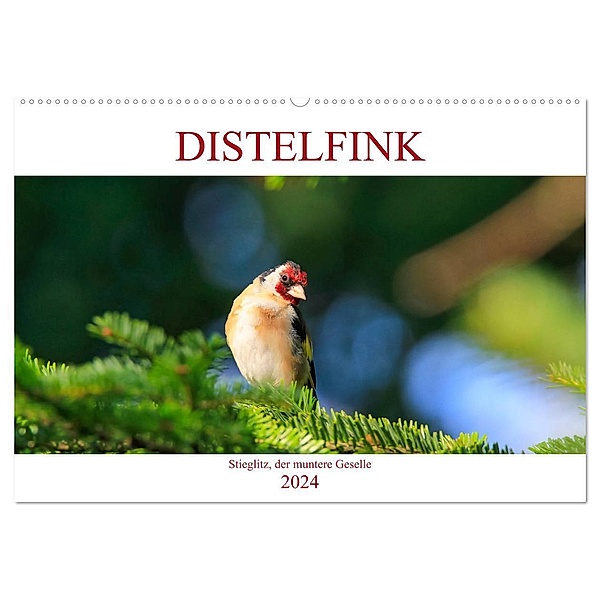 Distelfink (Wandkalender 2024 DIN A2 quer), CALVENDO Monatskalender, Anette Jäger