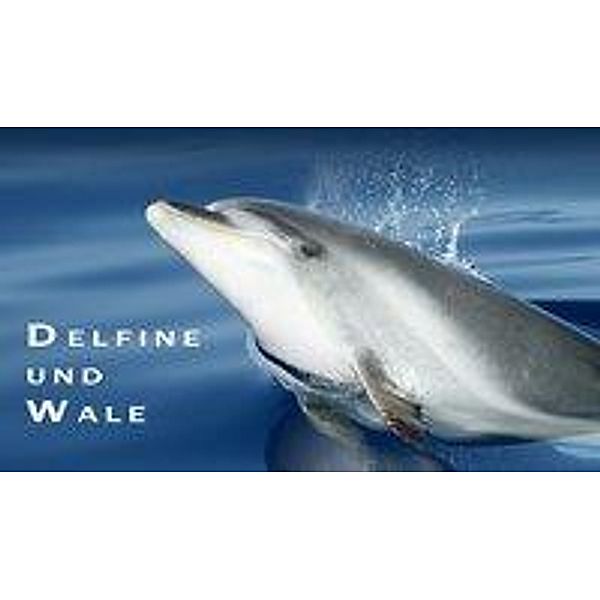 Dittrich, B: Delfine und Wale, Bruno Dittrich