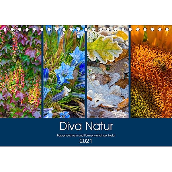 Diva Natur (Tischkalender 2021 DIN A5 quer), Birgit Seifert