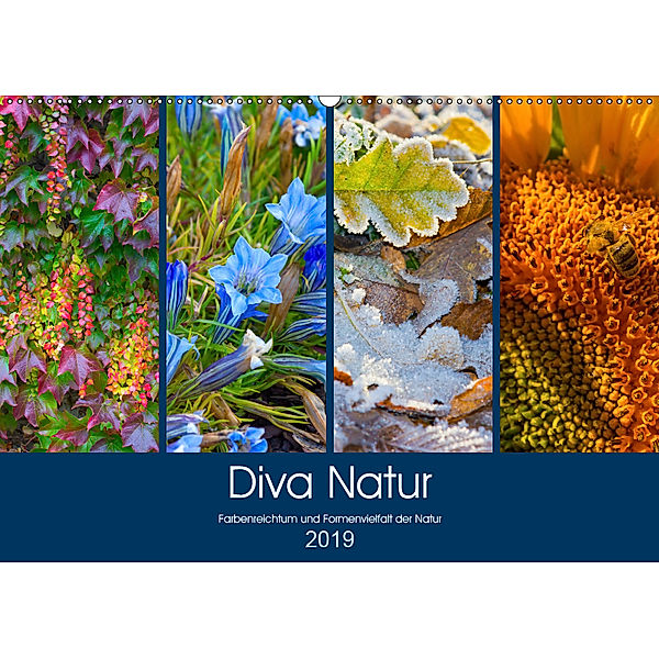 Diva Natur (Wandkalender 2019 DIN A2 quer), Birgit Seifert