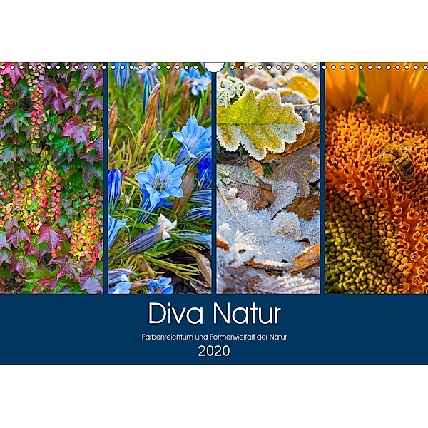 Diva Natur (Wandkalender 2020 DIN A3 quer), Birgit Seifert