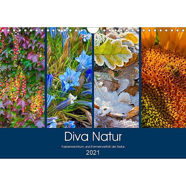 Diva Natur (Wandkalender 2021 DIN A4 quer), Birgit Seifert