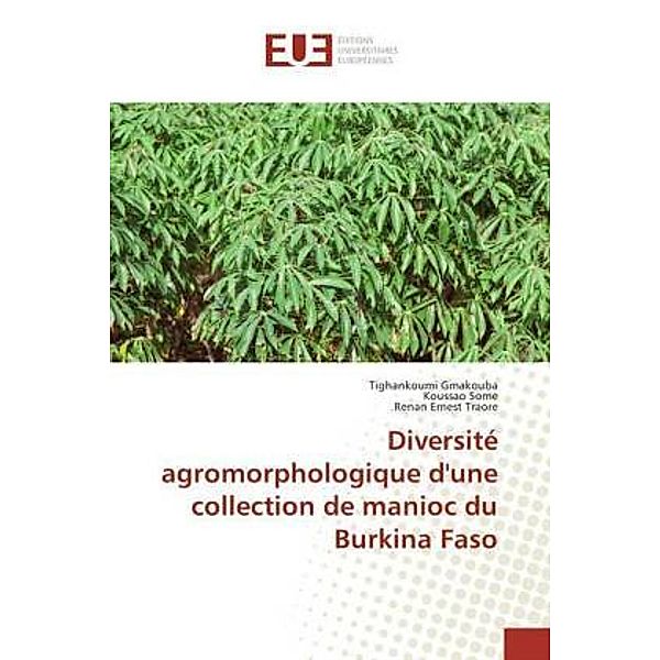 Diversité agromorphologique d'une collection de manioc du Burkina Faso, Tighankoumi Gmakouba, Koussao Some, Renan Ernest Traore