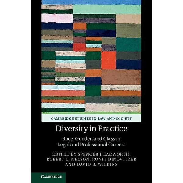 Diversity in Practice