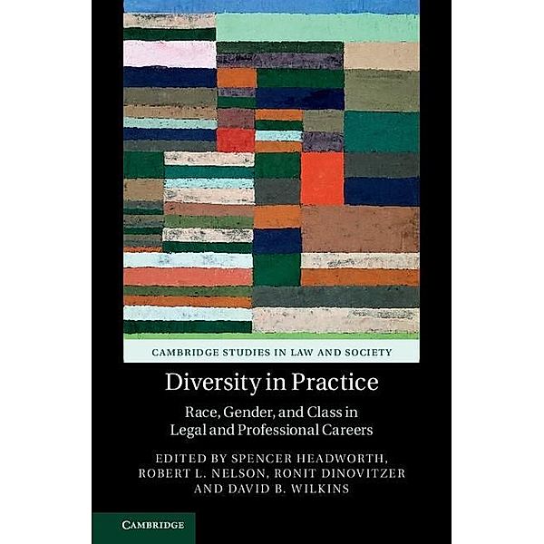 Diversity in Practice / Cambridge Studies in Law and Society