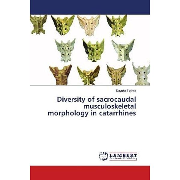 Diversity of sacrocaudal musculoskeletal morphology in catarrhines, Sayaka Tojima