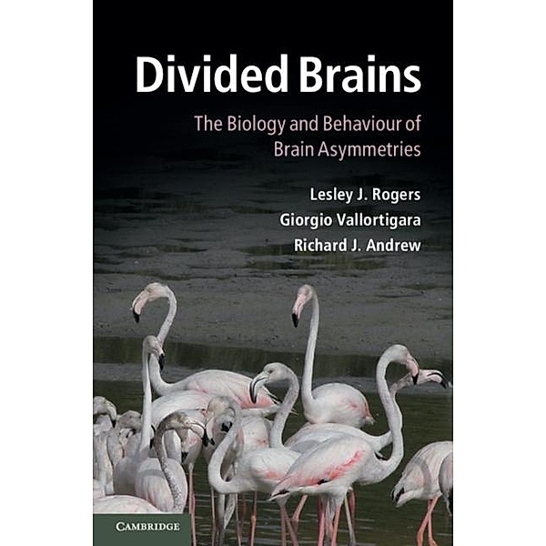 Divided Brains, Lesley J. Rogers