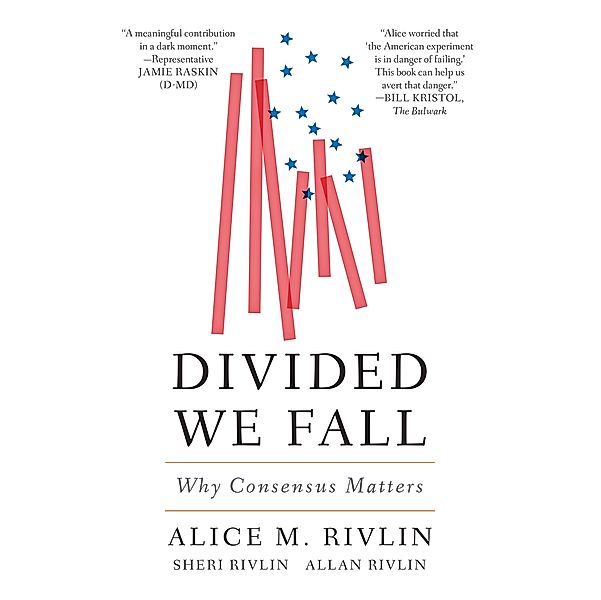 Divided We Fall / Geopolitics in the 21st Century, Alice M. Rivlin, Sheri Rivlin, Allan Rivlin